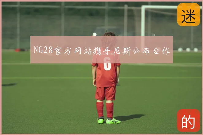 NG28官方网站携手尼斯公布合作