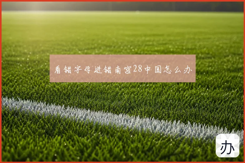 看错字母进错南宫28中国怎么办