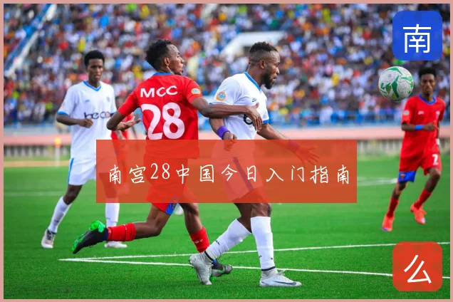 南宫28中国今日入门指南